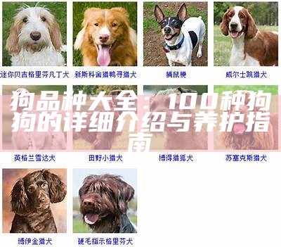 狗品种大全：100种狗狗的详细介绍与养护指南