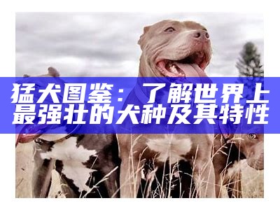 猛犬图鉴：了解世界上最强壮的犬种及其特性