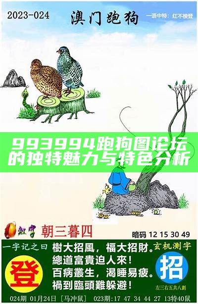 《揭秘跑狗新一代社区论坛5043：全新体验与功能解析》