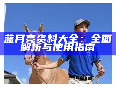 蓝月亮资料大全：全面解析与使用指南