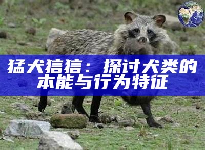 猛犬狺狺：探讨犬类的本能与行为特征