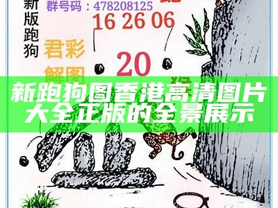 《2021年澳门跑狗资料免费分享与分析，助你精准赌局决策》