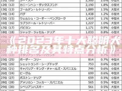 《2023年十大聪明犬种排名及其特点分析》